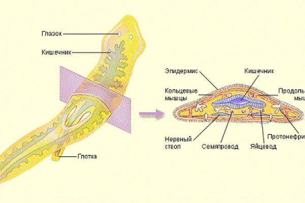 Пополнить кошелек кракен