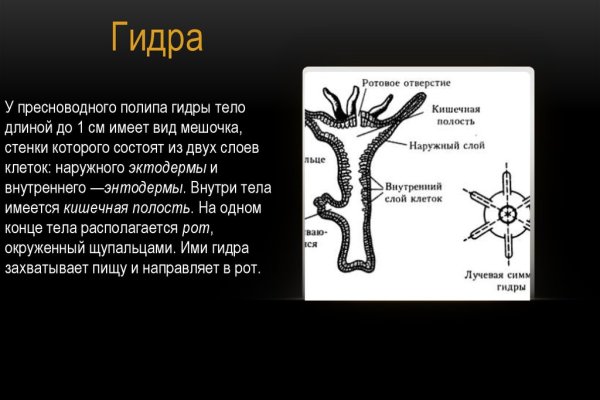 Ссылка кракен сегодня