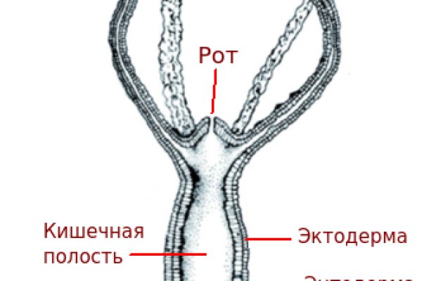 Взломанный аккаунт кракен