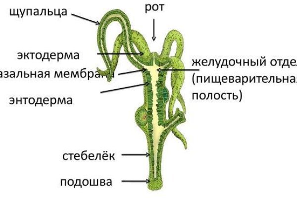 Ошибка на сервере кракен