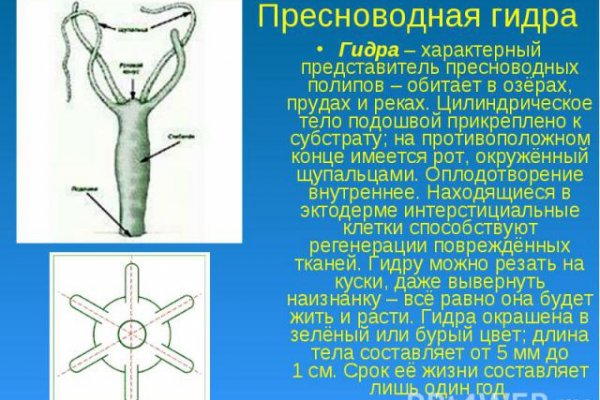Кракен через тор