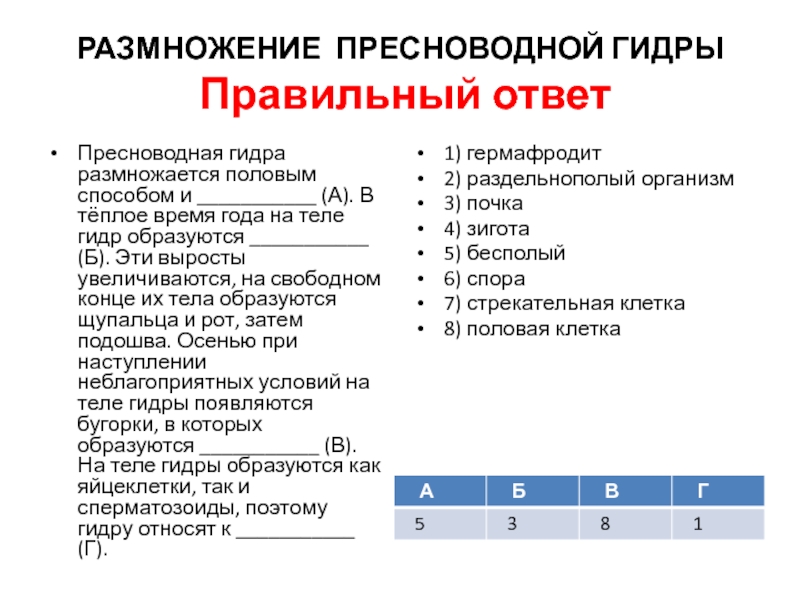 Зайти на кракен через браузер